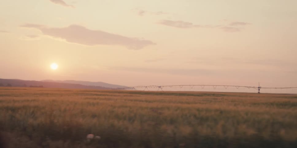 The sun is rising on the large farm land