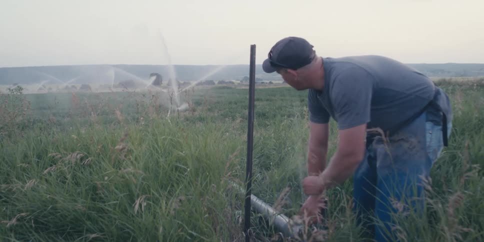 A man turns the spigot and water goes through the pipes to irrigate the farm