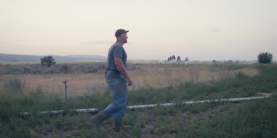 Man walking through an agricultural field
