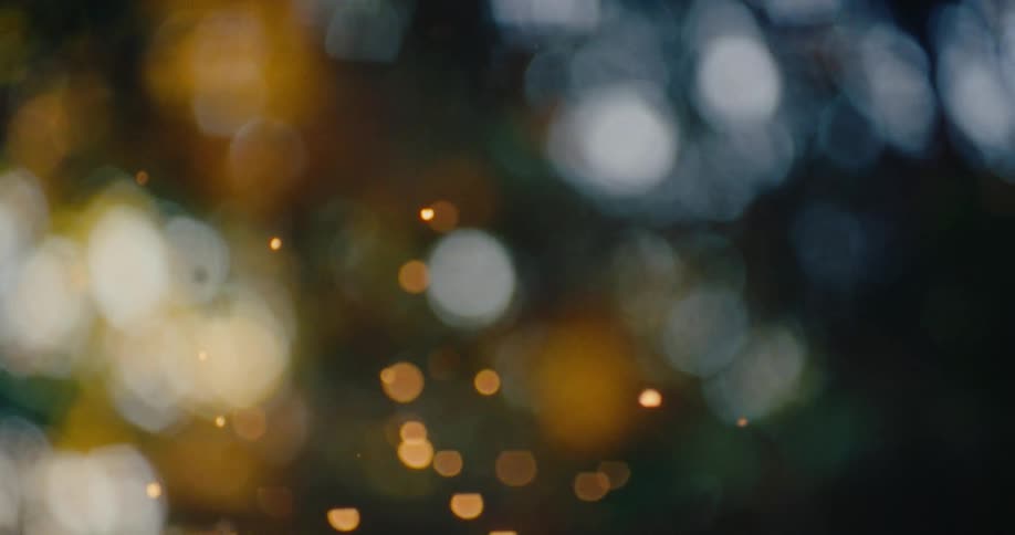 Bright specks of light varying in color and size float against a dark outoffocus background