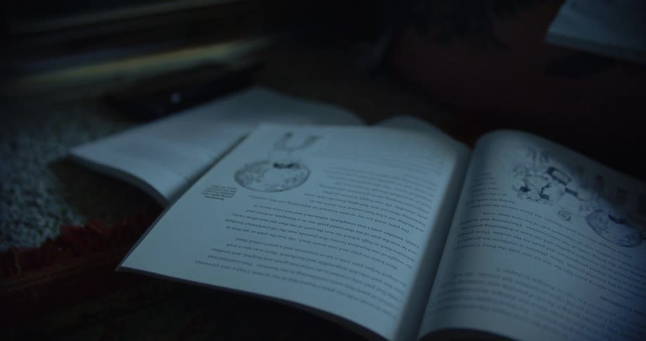 Open books lie illuminated in a dimly lit space revealing pages filled with text and illustrations