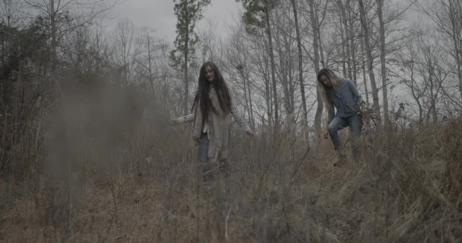 Two women gather branches in a forested area