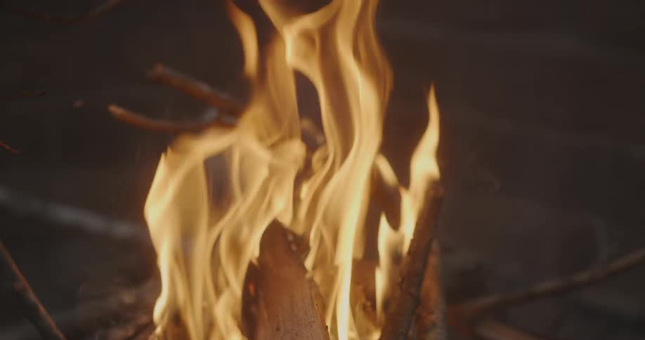 The branches are burning in the campfire