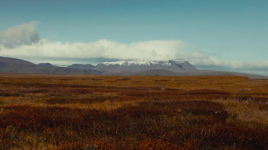 A vast possibly wheat field stretches towards a distant snowcapped mountain range under a cloudy sky