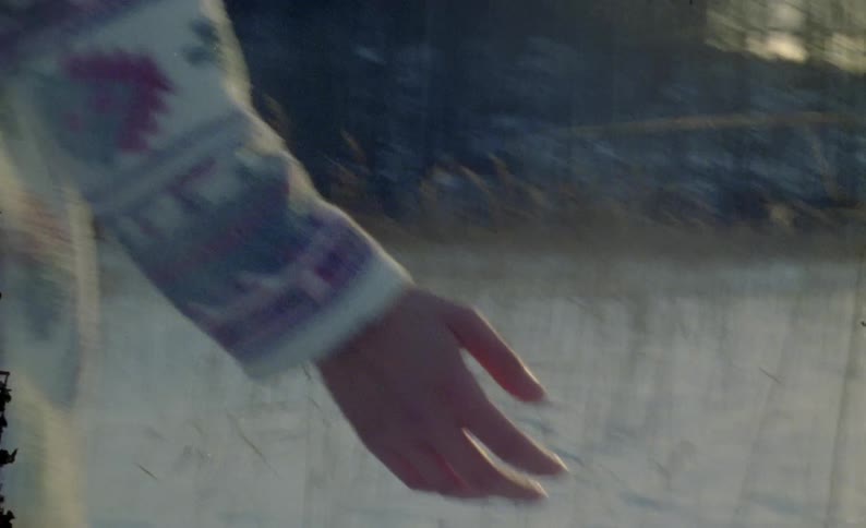 Hand of a person walking through a natural area with reed and snow