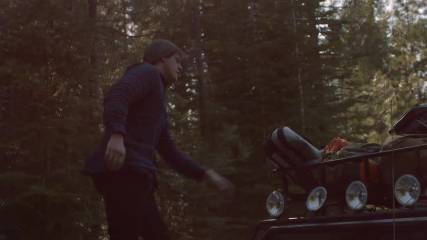 A jeep parks on a forest road