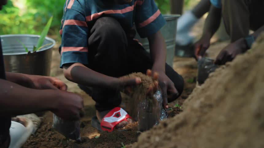 Three children putting fertilizer inside a plastic bag