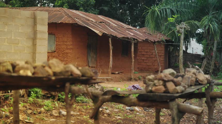 A hut is surrounded by green trees