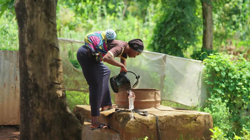 A person pours water from a watering can into a container while carrying a child on their back surrounded by lush green vegetation