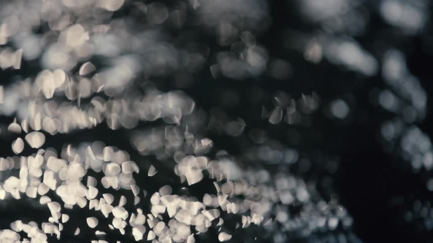 Cascading stream bokeh