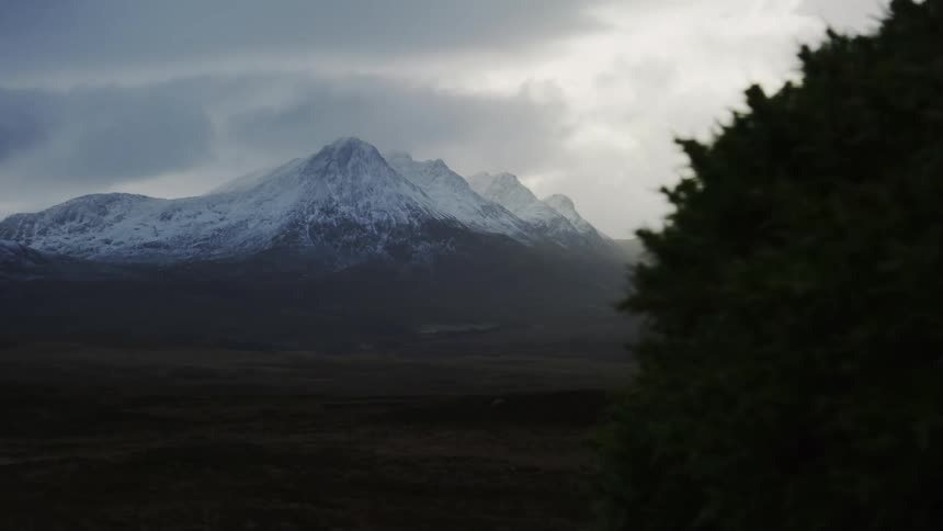 A roadside bush briefly reveals a dramatic mountain range with snowcapped peaks under a moody sky