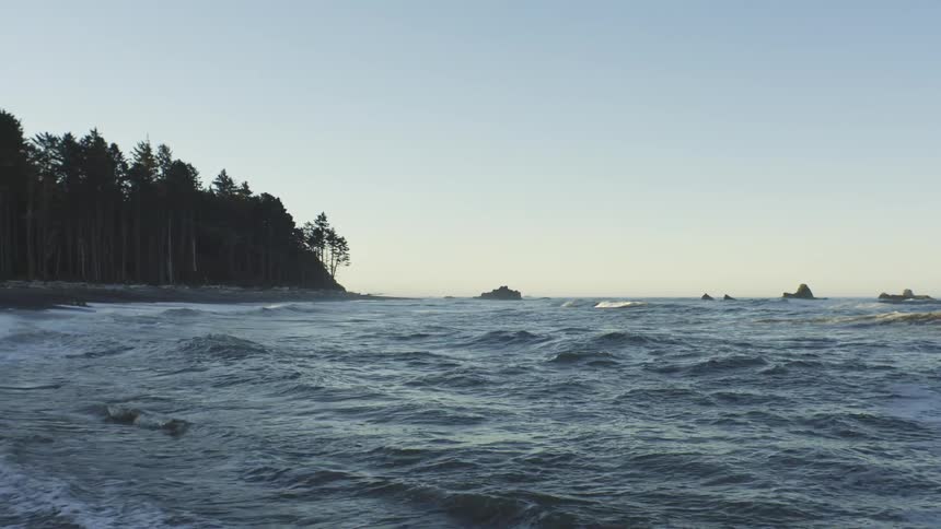 A serene coastal landscape unfolds with a dark silhouetted forest bordering a turbulent ocean under a tranquil pale sky