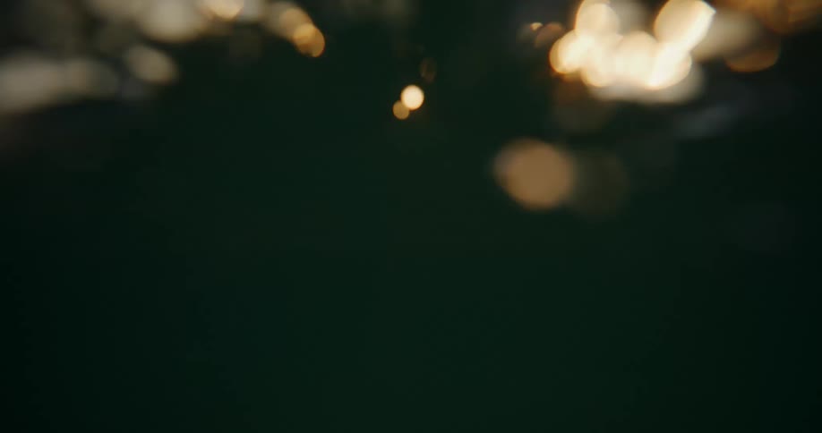 Underwater capturing sunlight reflecting off the water surface