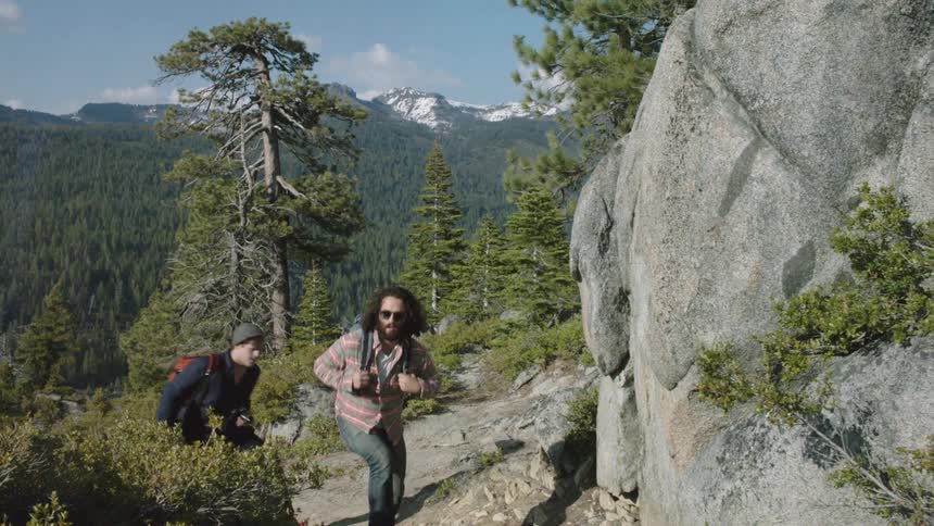 Hikers climb through a forest