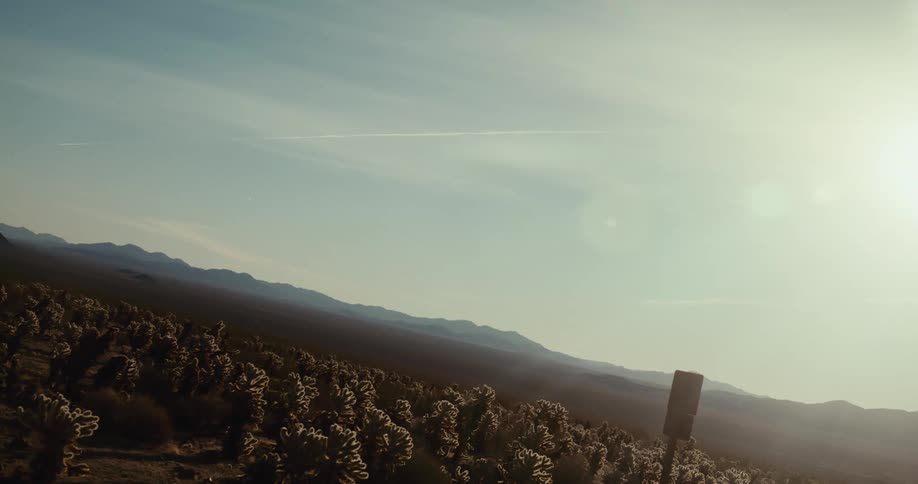 A desert landscape dotted with cacti stretches towards distant mountains under a bright sky