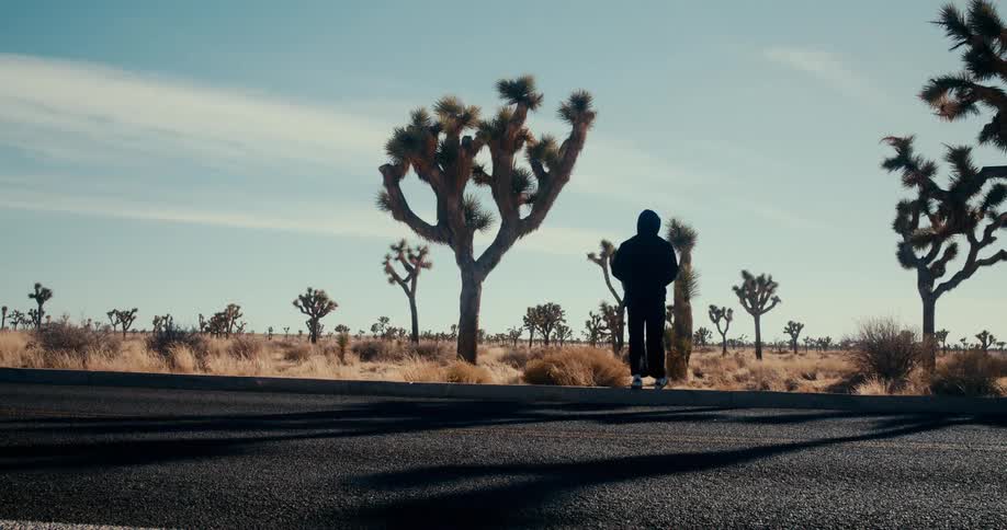 A person is walking along a road in a desert landscape filled with joshua trees under a clear sky
