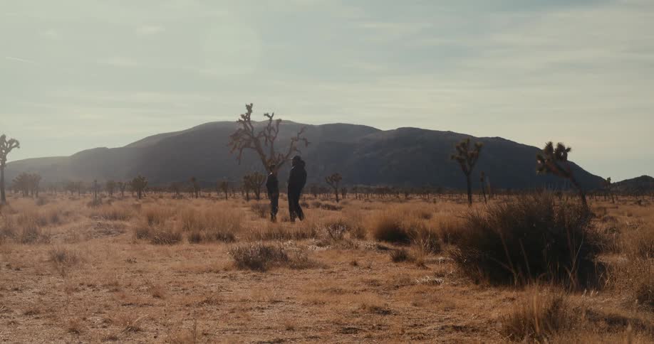 Two people are walking through a dry desert landscape with sparse joshua trees and mountains in the background under a partly cloudy sky