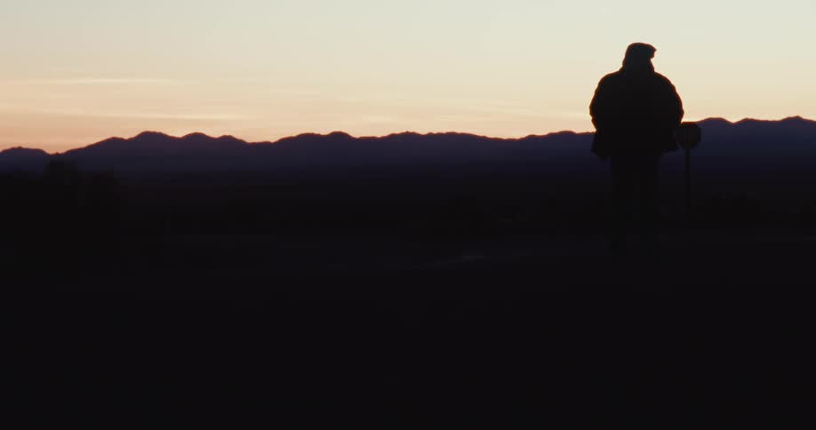 Silhouette of a person walking through a desert environment with mountains on the horizon