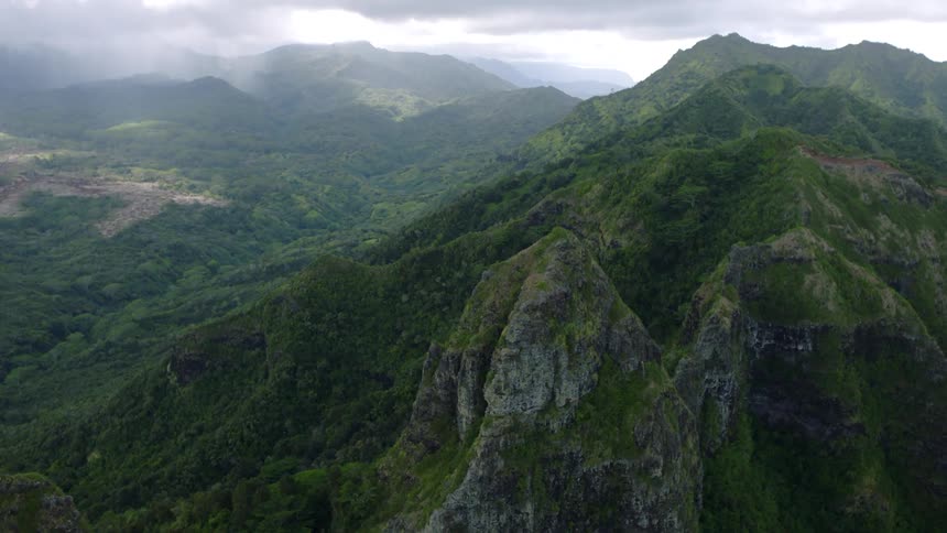 Dense vegetation covers jagged mountains on a foggy day