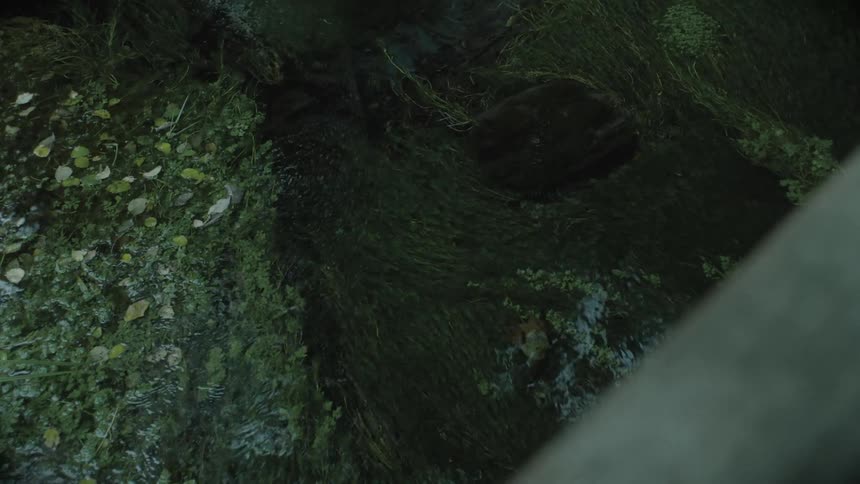 A dark topdown shot shows a rocky stream or drainage area with water trickling over mossy rocks and dark patches