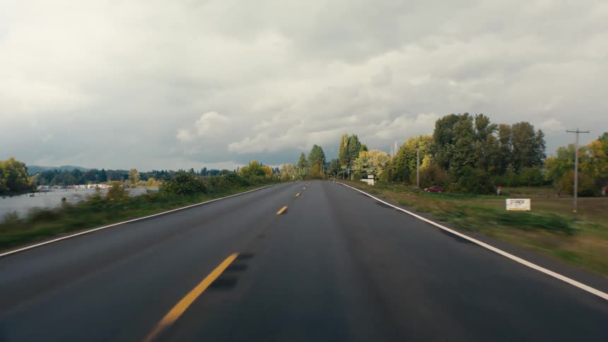 An asphalt street with a yellow stripe in the center and several vegetation and trees on the sides