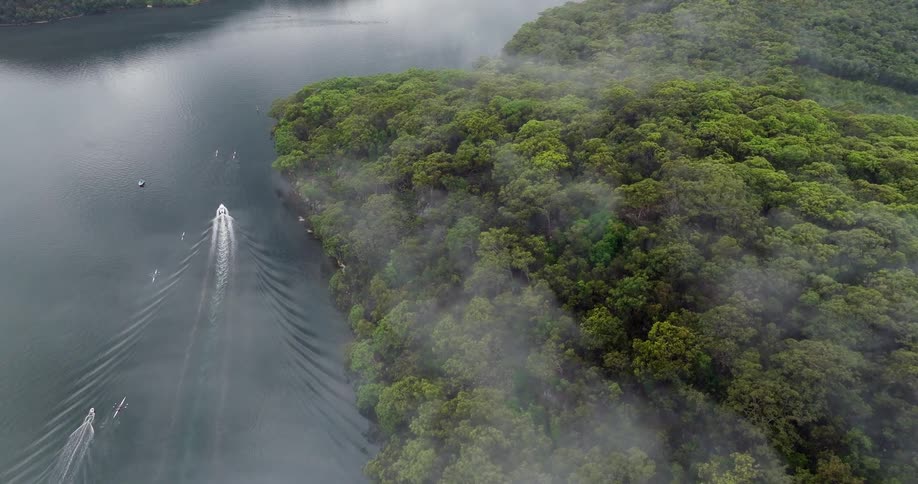 An aerial clip of a river in the jungle
