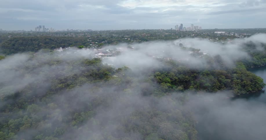 Layer of lowlying fog covers the forest while the city appears in the background under a cloudy sky
