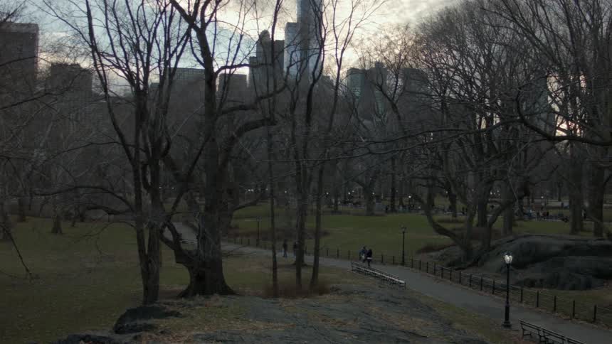 People walk and bike on the path of a city park