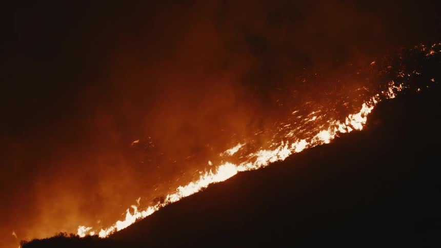 A raging forest fire
