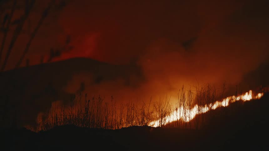 A raging forest fire