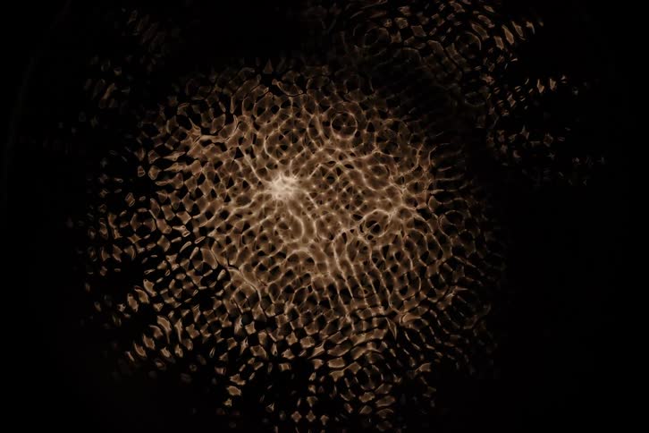 There are several yellow lights moving in a black environment in an abstract way together