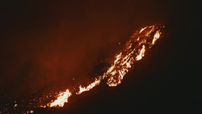 A raging forest fire