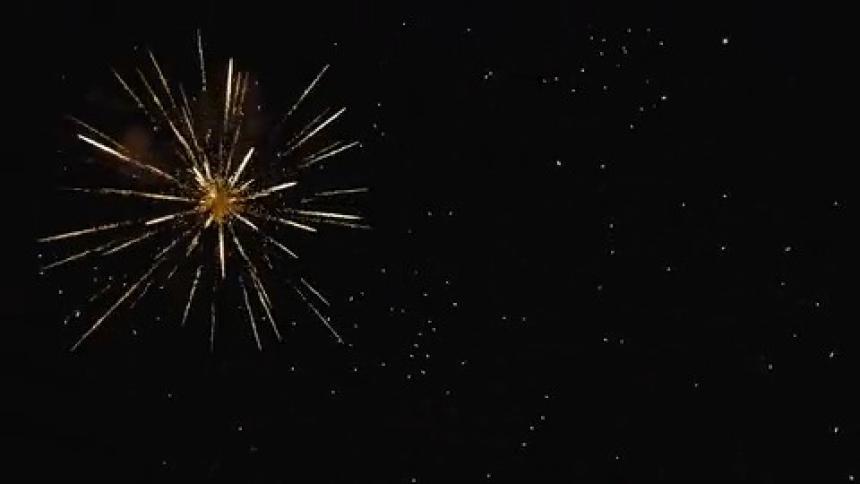 Fireworks exploding in the sky at night