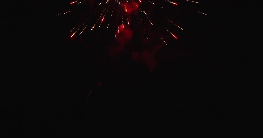 Fireworks explodes against a dark night sky
