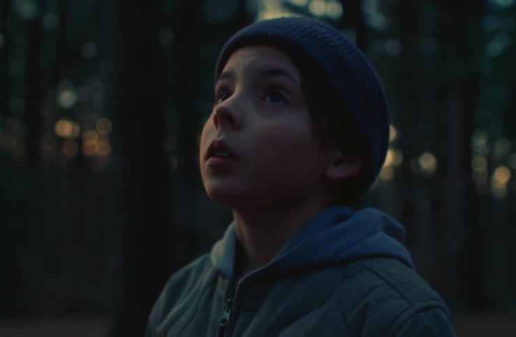 Boy looking around while standing in a forest
