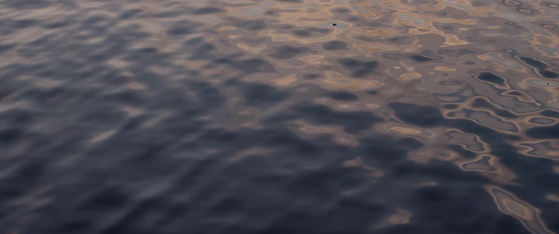 Sunlight is reflecting on the body of water at dusk