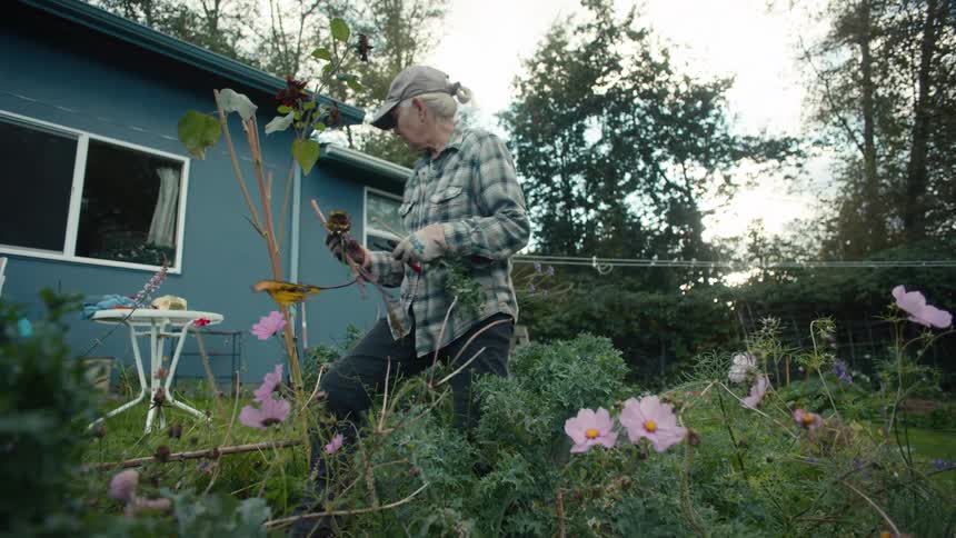Elderly lady gardening in her backyard
