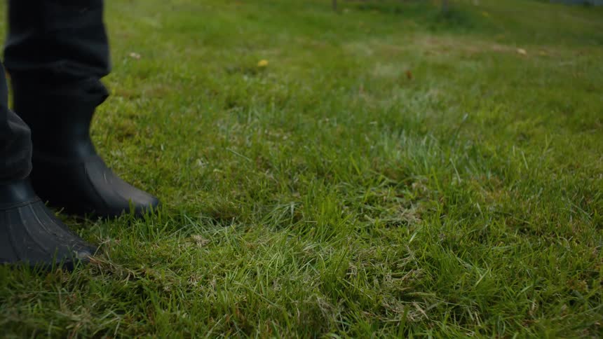 Person picks up a metal pot filled with apples from a lush grassy lawn
