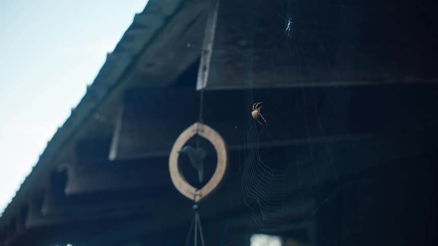A brown spider weaves its web near a hanging ornament under the edge of a rooftop