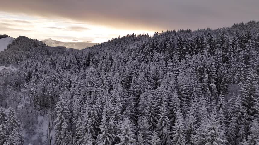An aerial clip of a woods land during winter