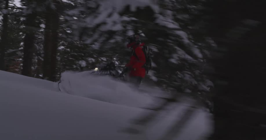 Person riding a snowmobile speeds through the conifer forest on a mountain slope in winter