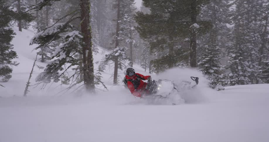 Person wearing winter clothing and helmet rides a snowmobile between trees in a snowcovered landscape