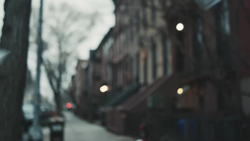 100 bills floating in the air on a treelined street with brick buildings in the background