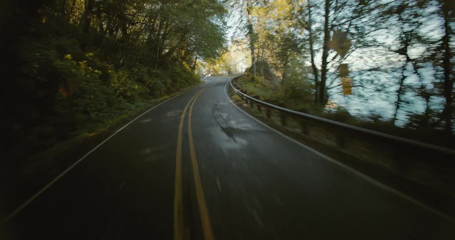 Paved road surrounded by trees and the seaside