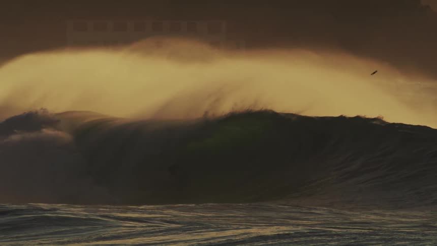 Several surfers on the beach with one of them riding a wave