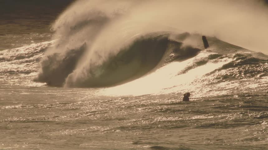 Surfer glides down a breaking wave at sunset while other swimmers wait in the goldenlit sea