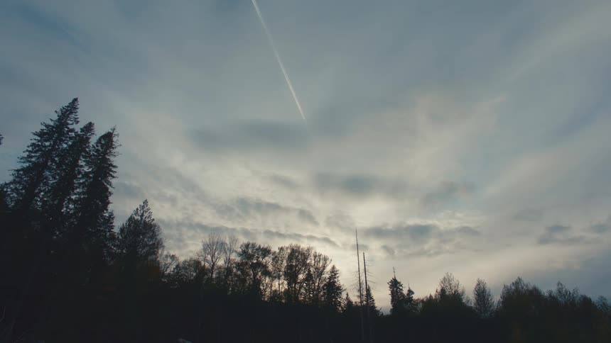 Heavy clouds are over the forest