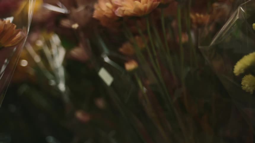 Hands of two people choosing a bouquet of flowers in a florist shop
