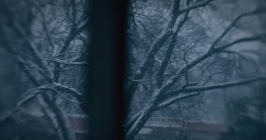 Inside view of a window revealing a leafless tree on a snowy day