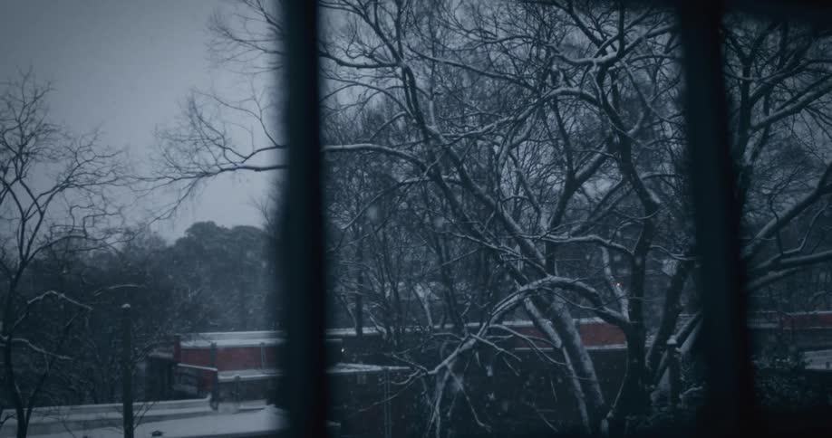 Snow falls outside a window framing a view of snow covered bare trees and buildings beyond